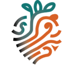 NeuroSomaticHealth Logo farbig